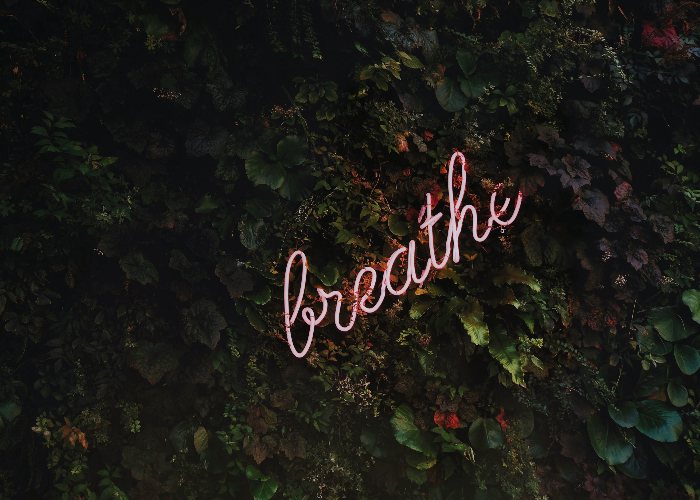 tim-goedhart-334149-unsplash edited