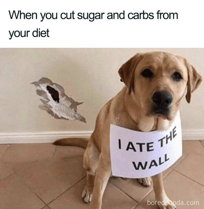 2-5c99d48ecb850__700 Diets and mental health issues